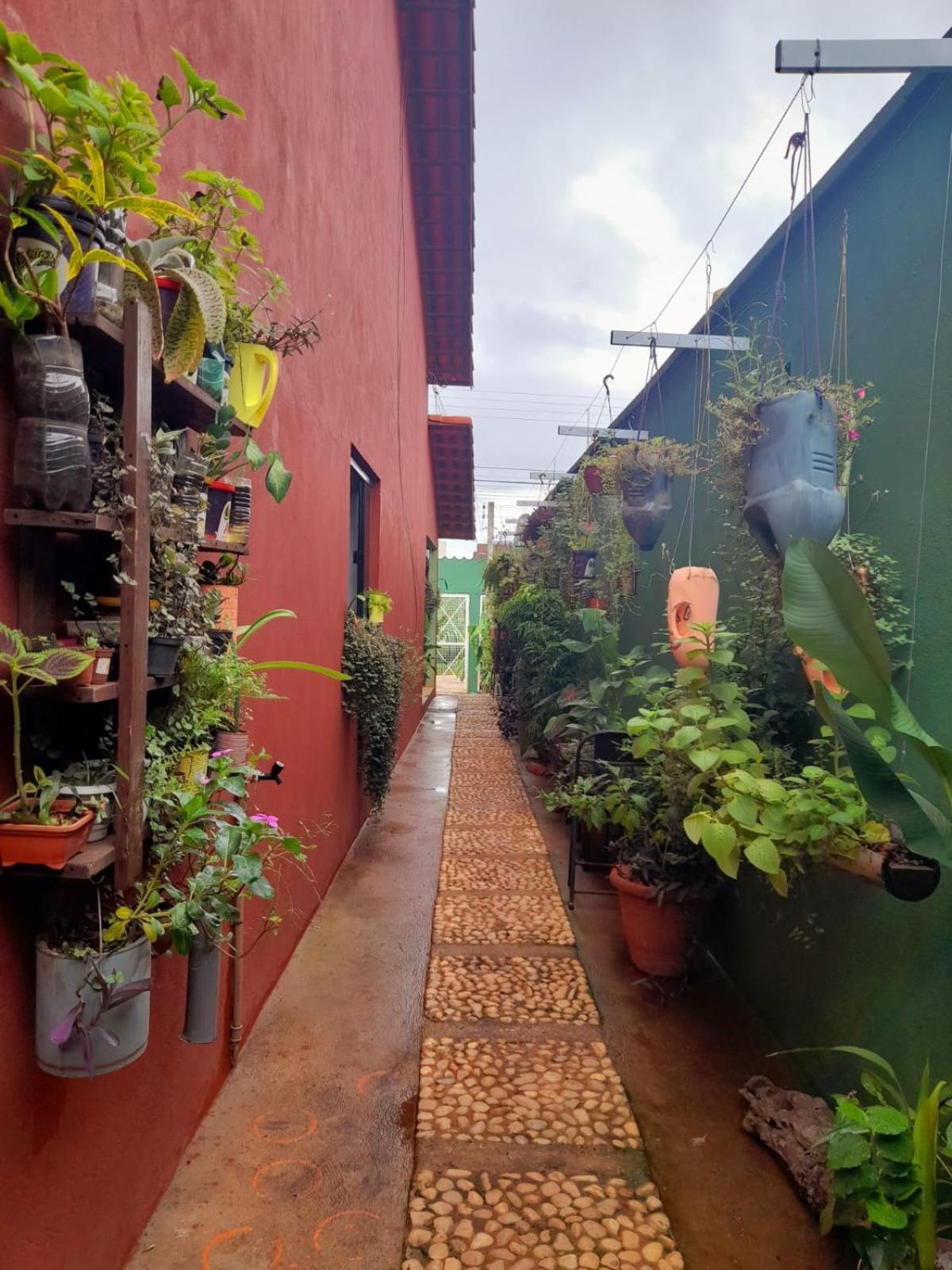Verdes Hostel Palmas-To Palmas  Exteriör bild